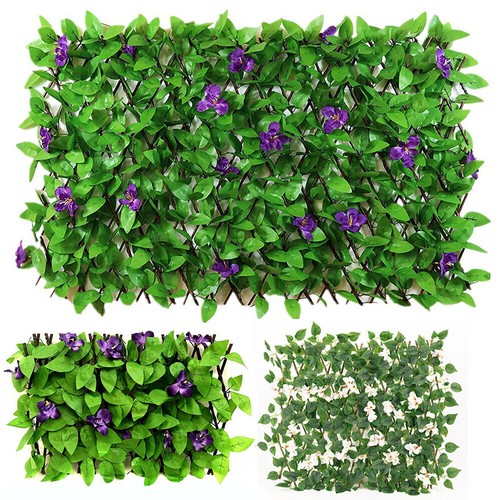 Privacy screening trellis - trellis, 2m