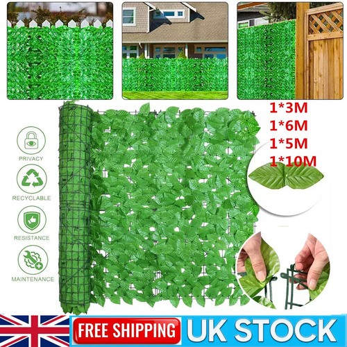 Artificial hedge fake - 6m, ivy