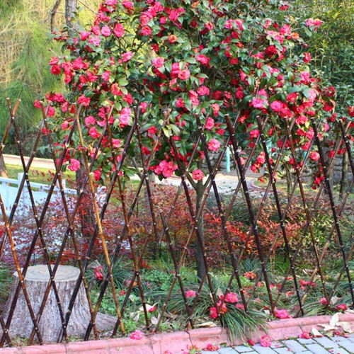 Artificial screening fence - artificial,